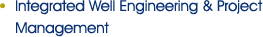 Integrated Well Engineering & Project Management